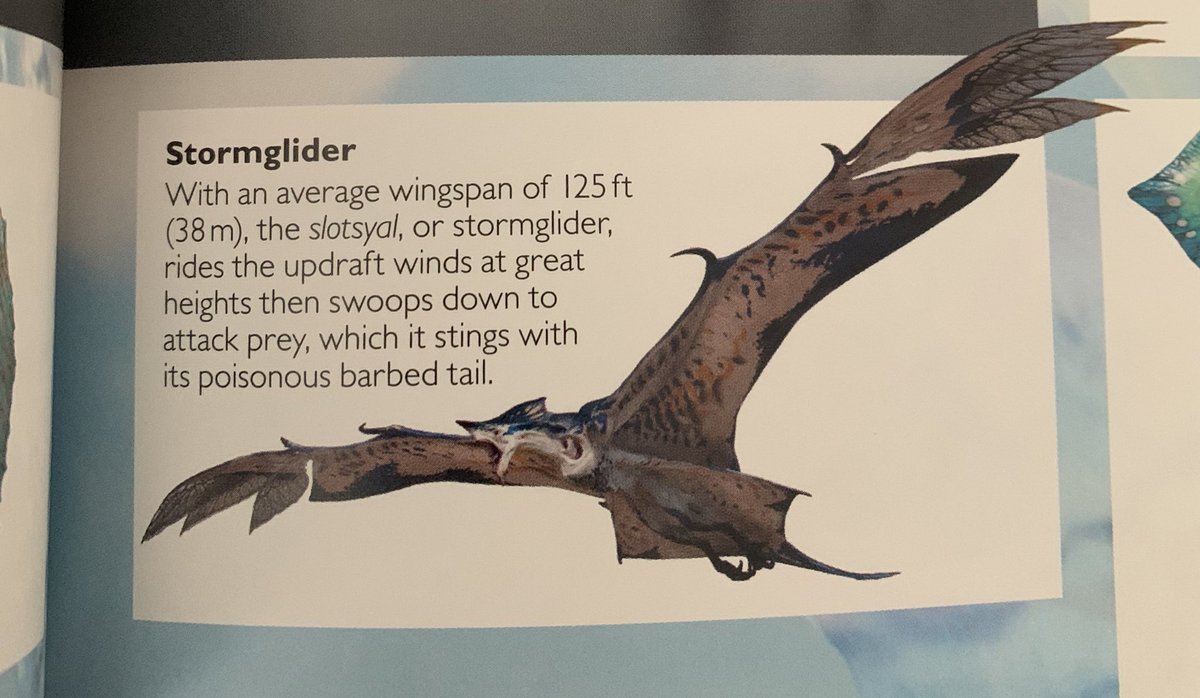 ᦓꪮꪶ tweet media