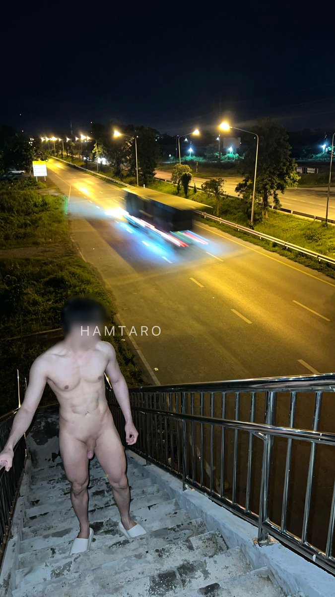 แฮม • ทา • โร่ tweet media