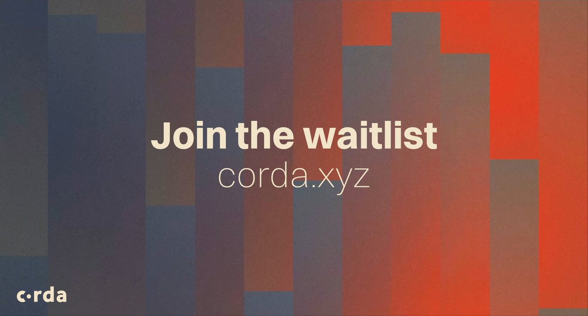 TIMORA⚡ tweet media