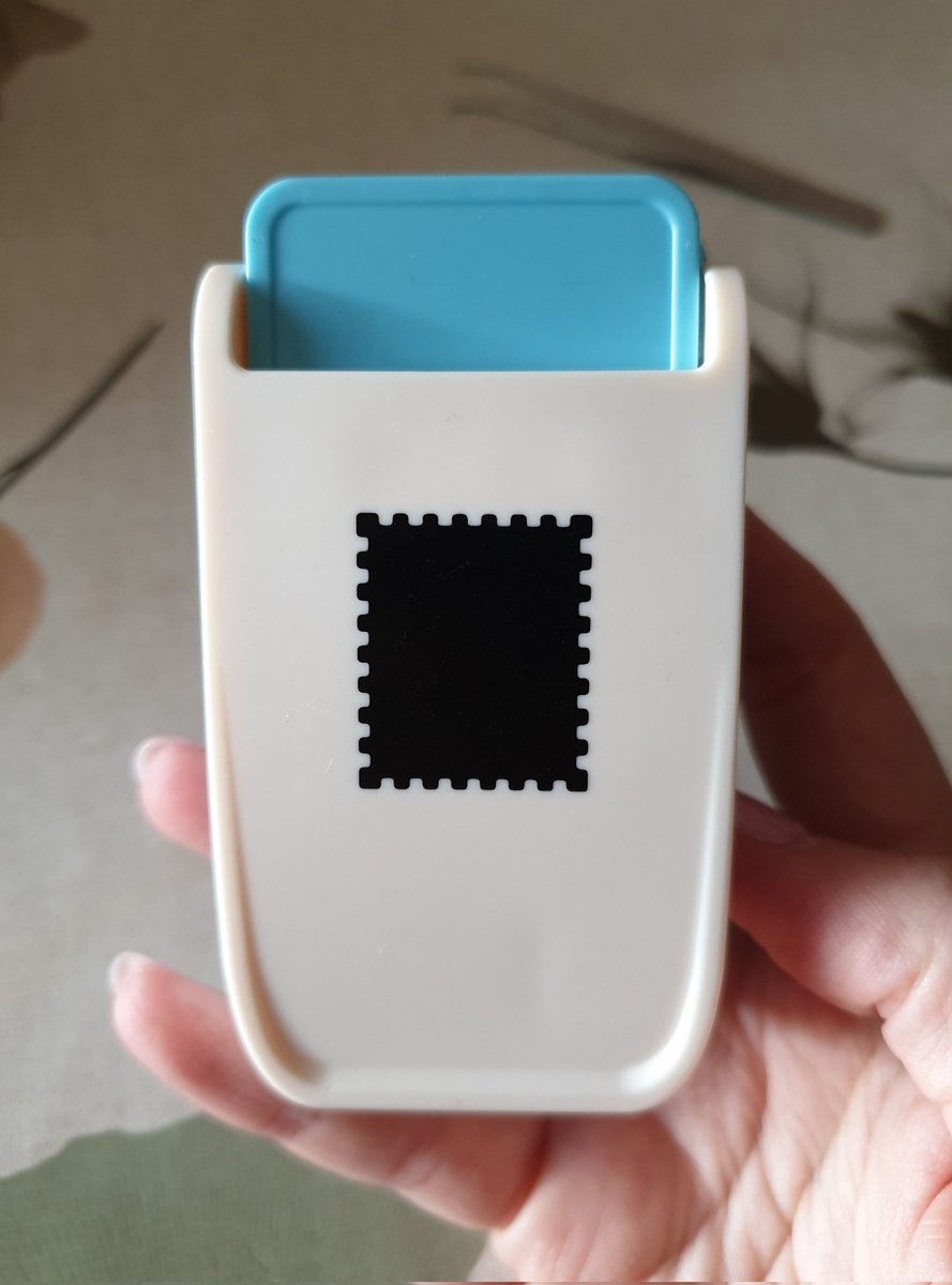 laura 🦢 tweet media