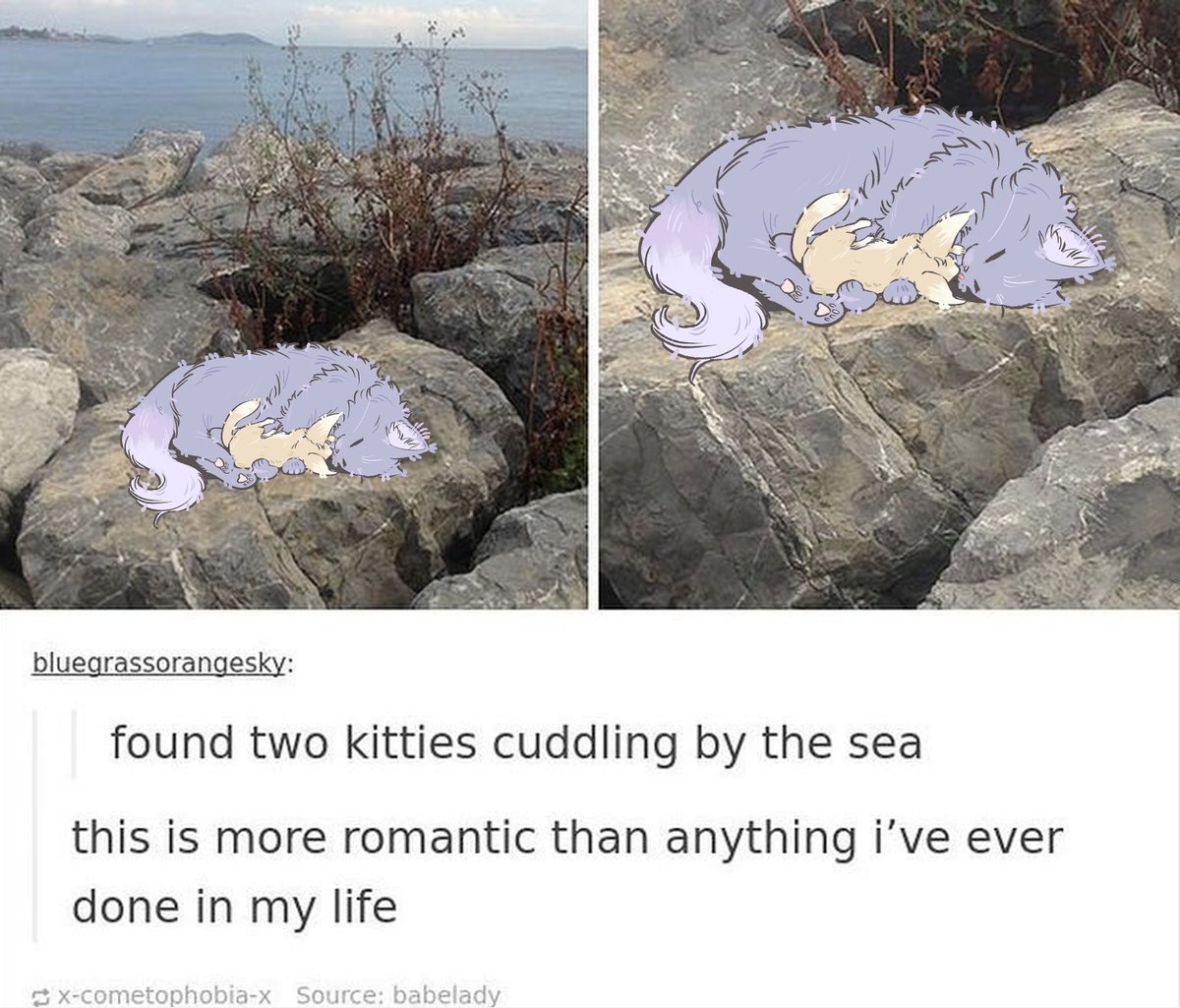 미타 ₍ᐢ. .ᐢ₎ tweet media