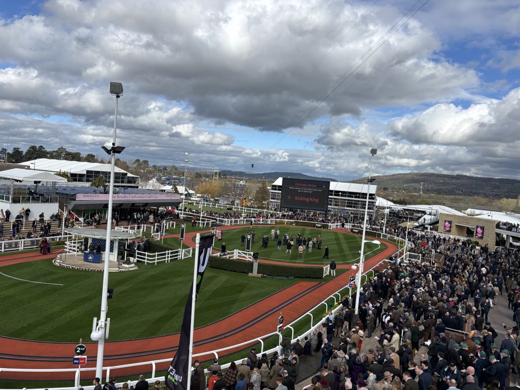 Harry Merrick tweet media