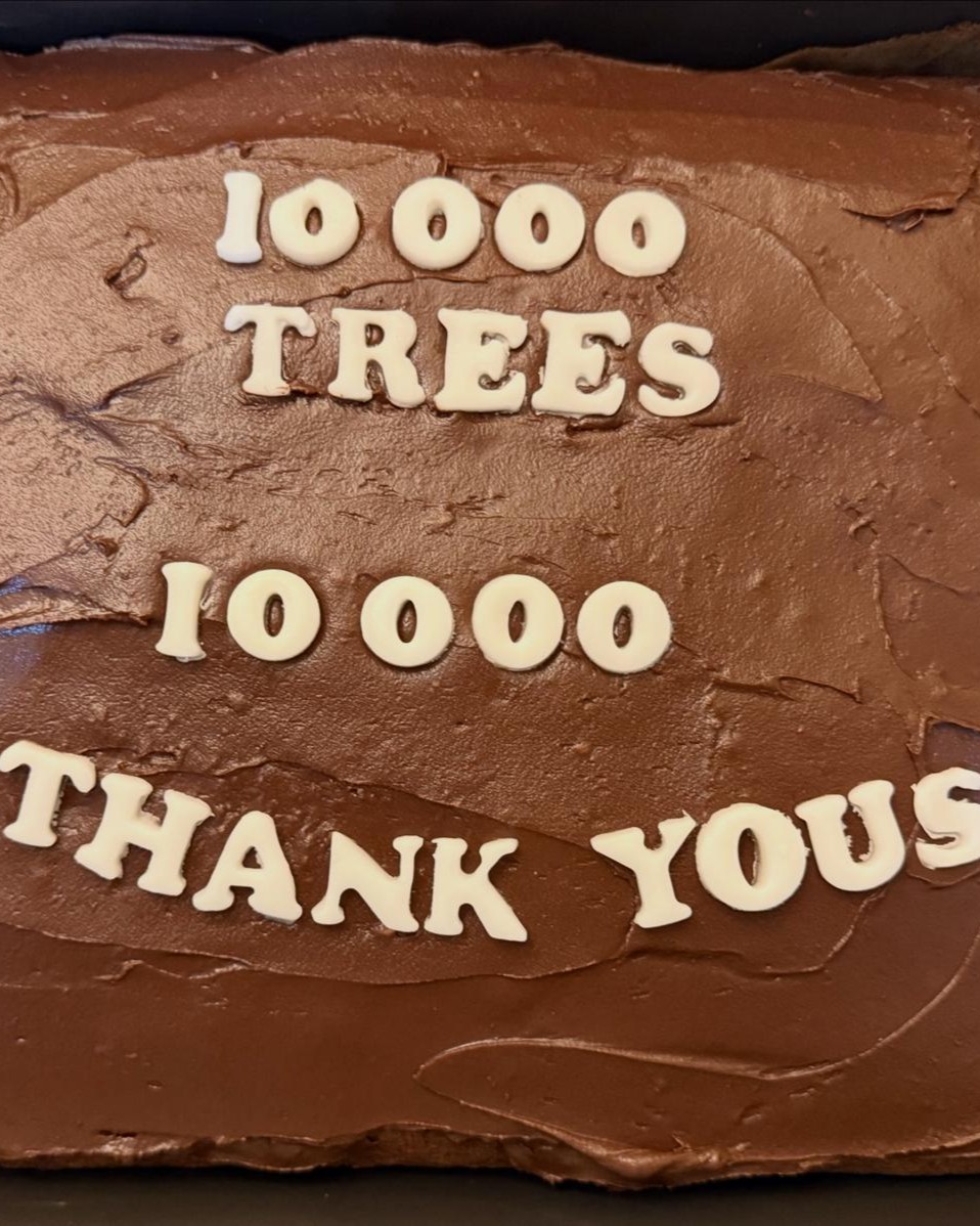 National Trust in Bath tweet media