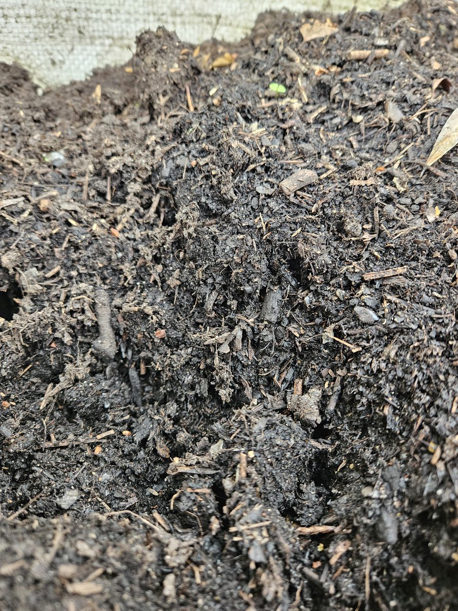 Thames Chase tweet media