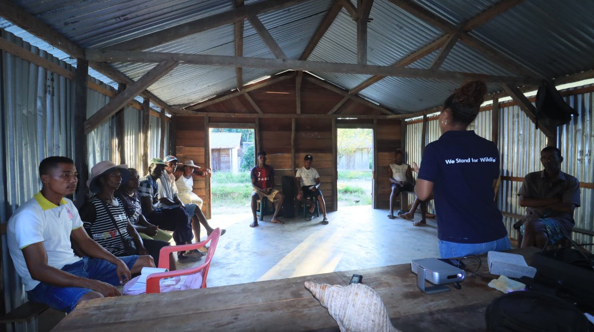 WCS Madagascar tweet media