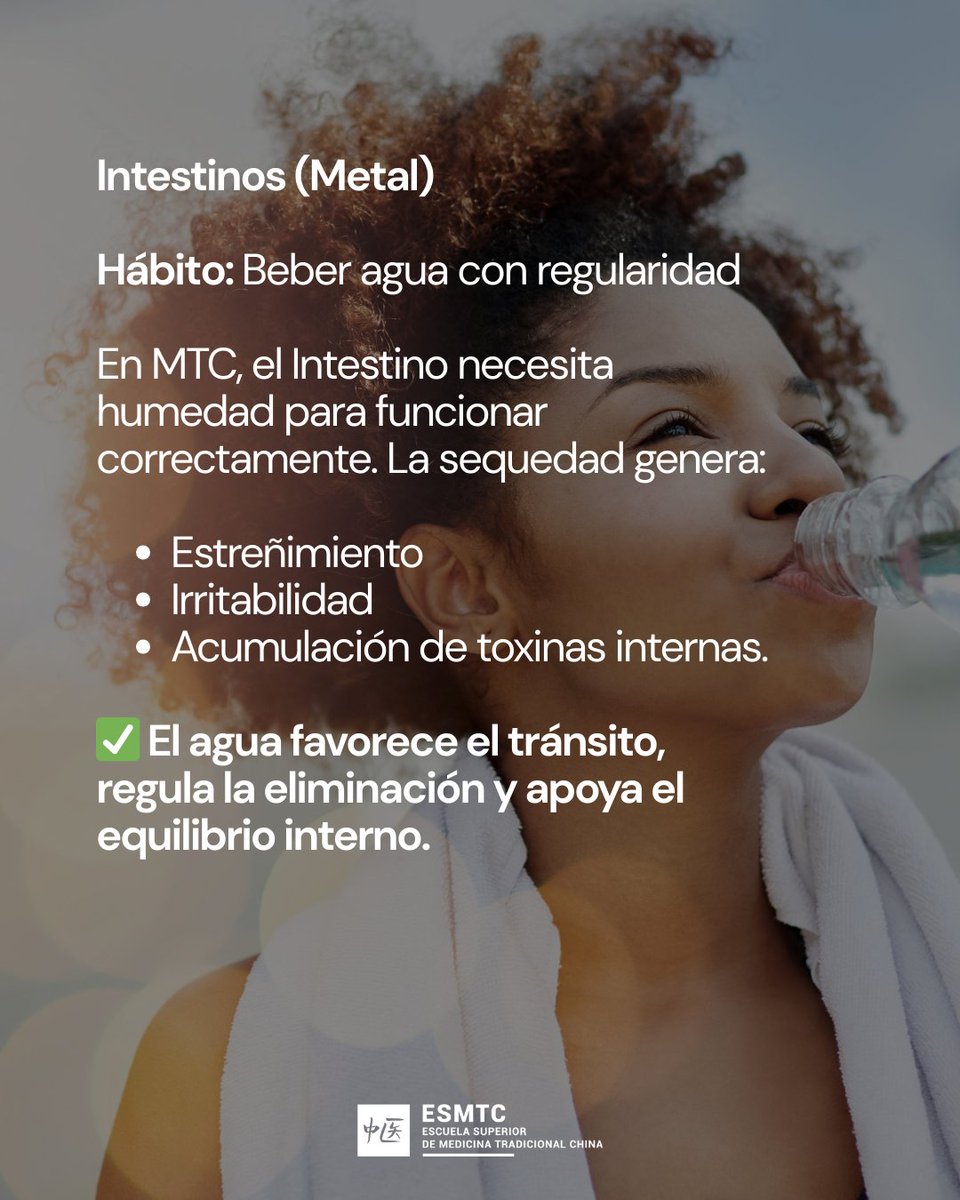 Escuela de MTC tweet media