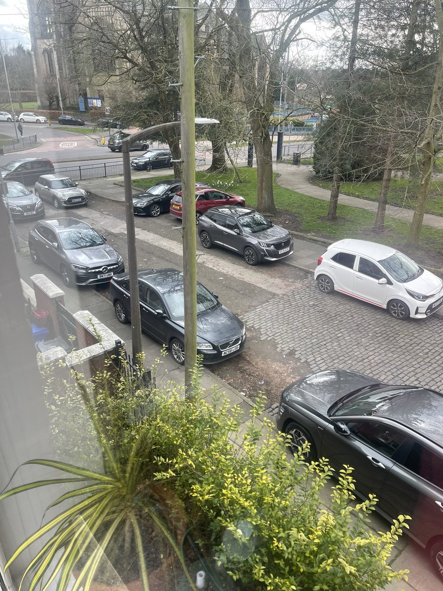 John Wilson-Marks 🦕🦖 tweet media