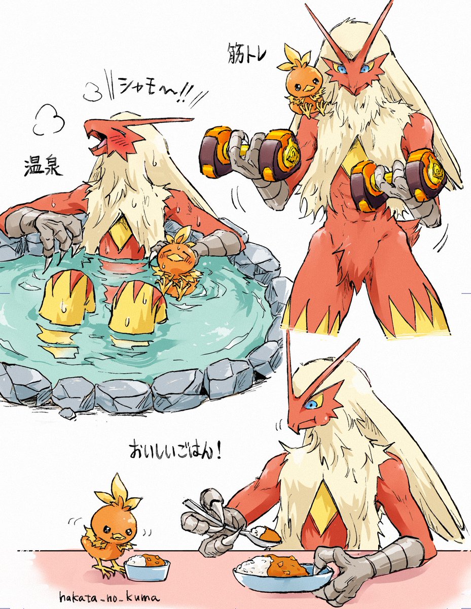 博多のくま tweet media