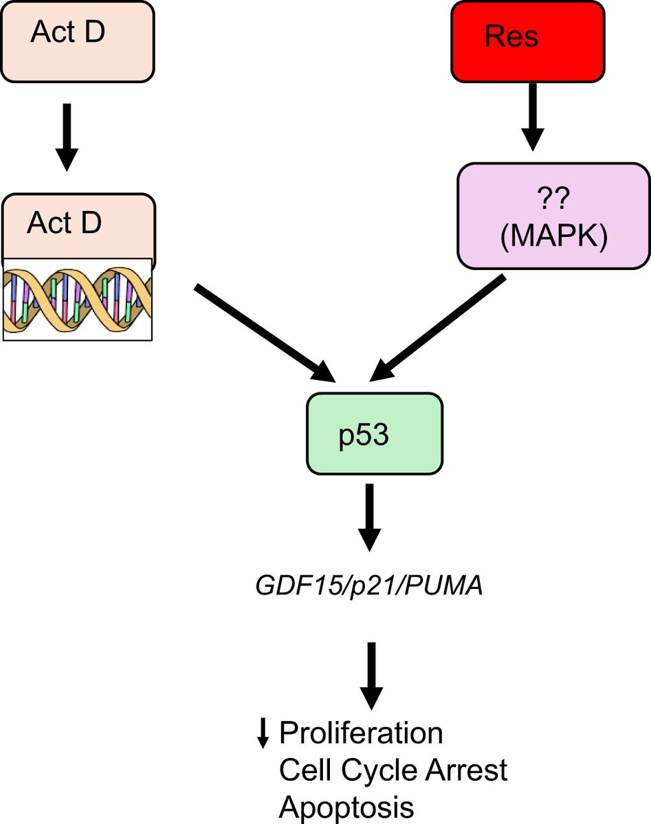 Biochemistry and Cell Biology tweet media