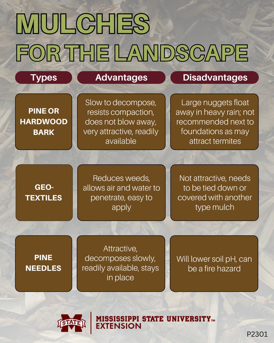MSU Extension tweet media