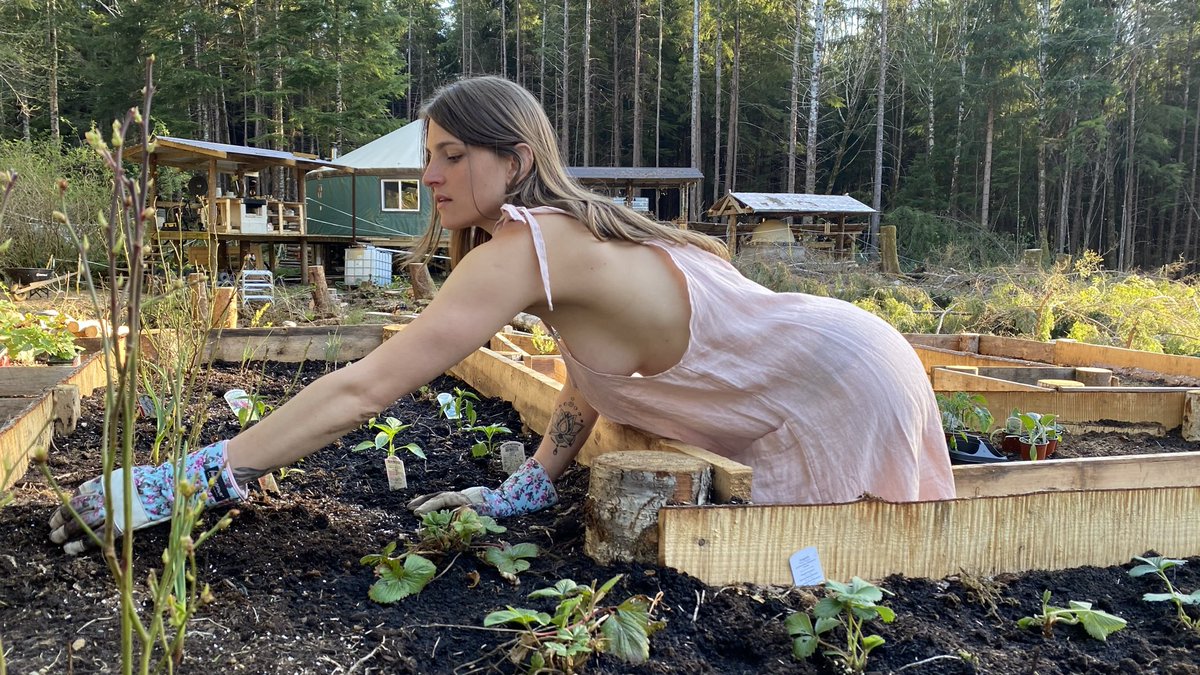 Nicolle Love tweet media