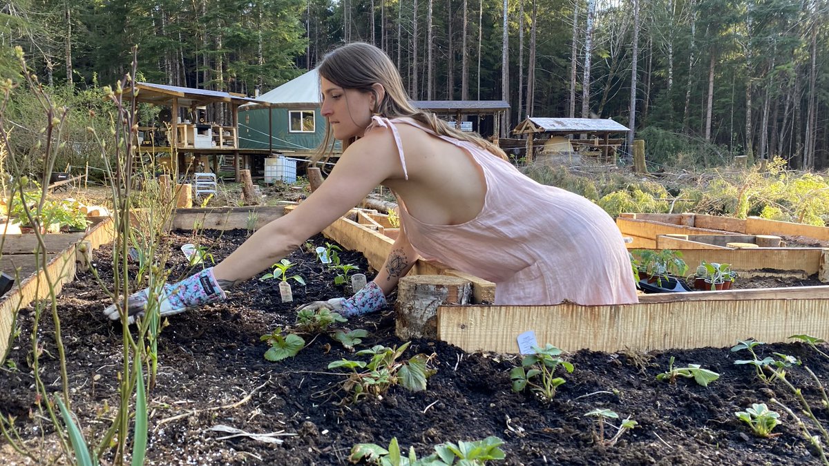 Nicolle Love tweet media