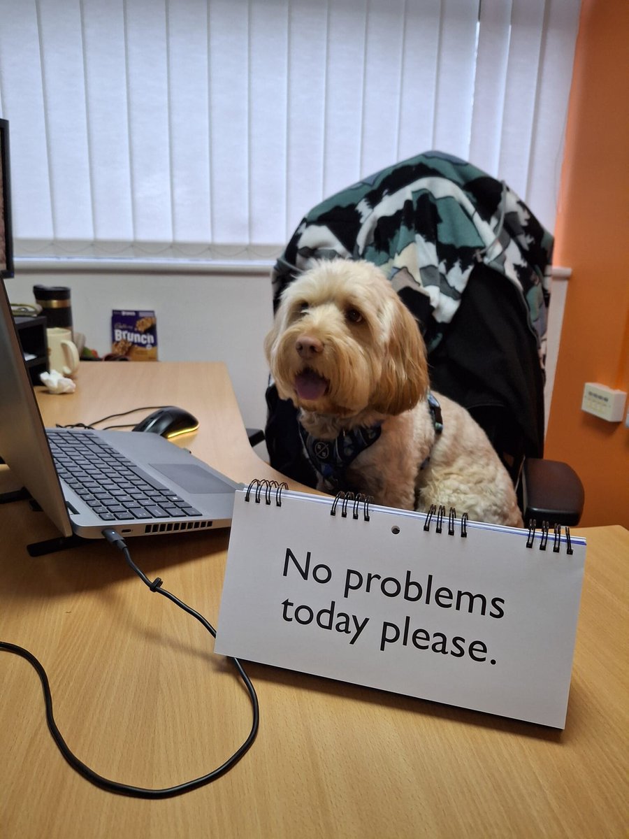 LamasaTech tweet media