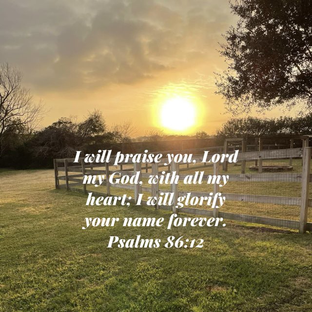 Mike Van Hoozer tweet media