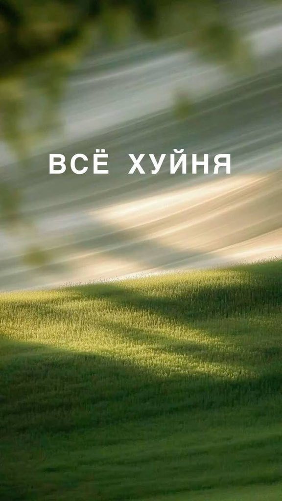 Выгораня tweet media