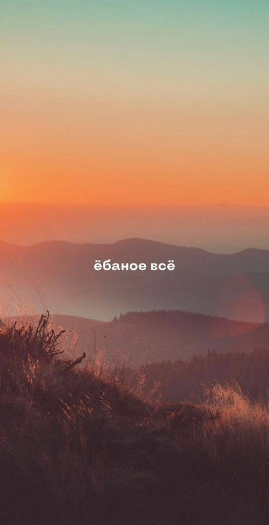 Выгораня tweet media