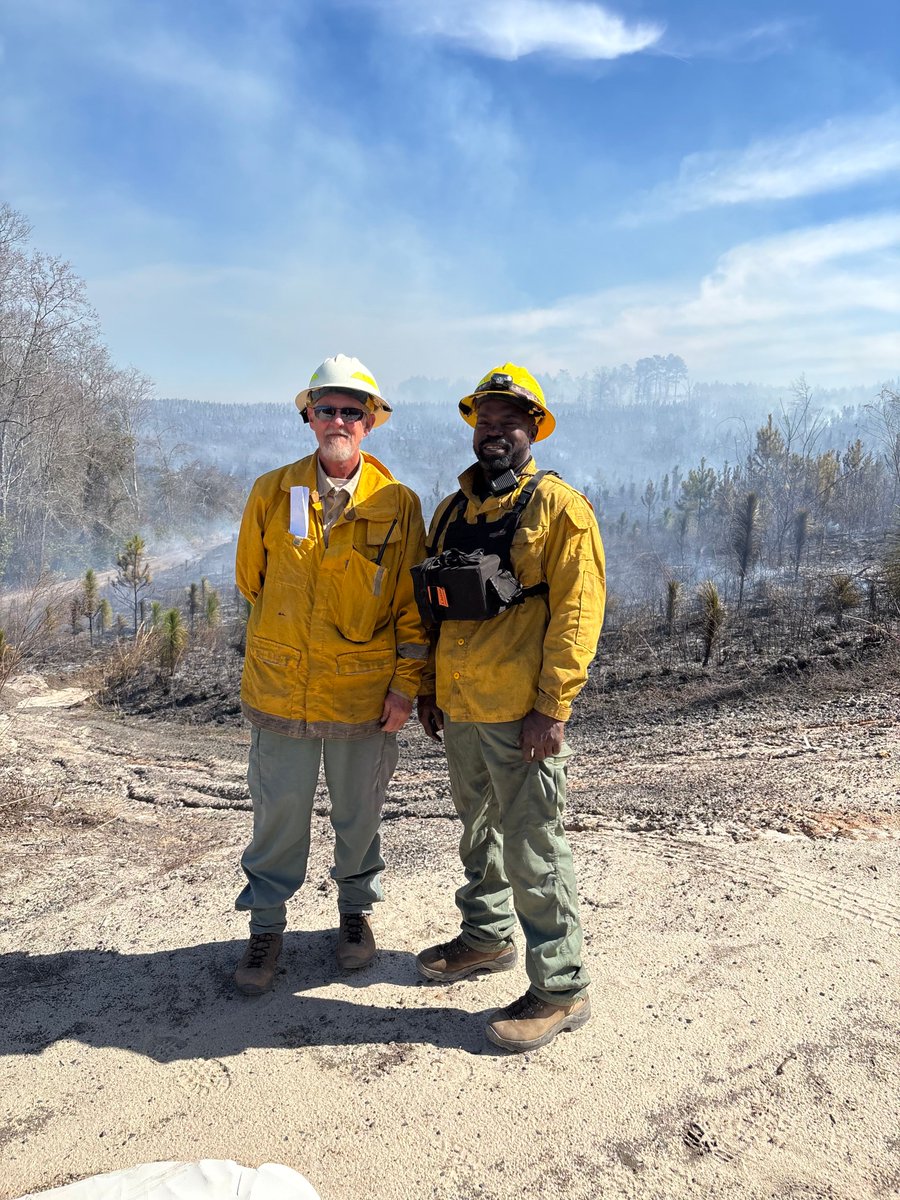 GAForestryCommission tweet media