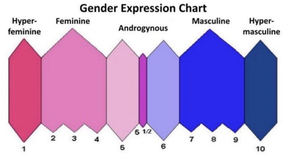 Emigo (Lute Edition) 🎸⚔️ tweet media