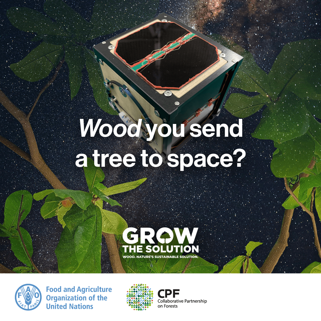 FAOForestry's tweet photo. 🚀 What if satellites were made of wood? #WoodYou believe it’s possible! 

Biodegradable wood could be a clean alternative to the 140+ million pieces of space junk circling our planet. 

Let’s #GrowTheSolution and shoot for a greener future! 🌱✨ 

#CPForests #SW4SW https://t.co/SoOygcJQ6I