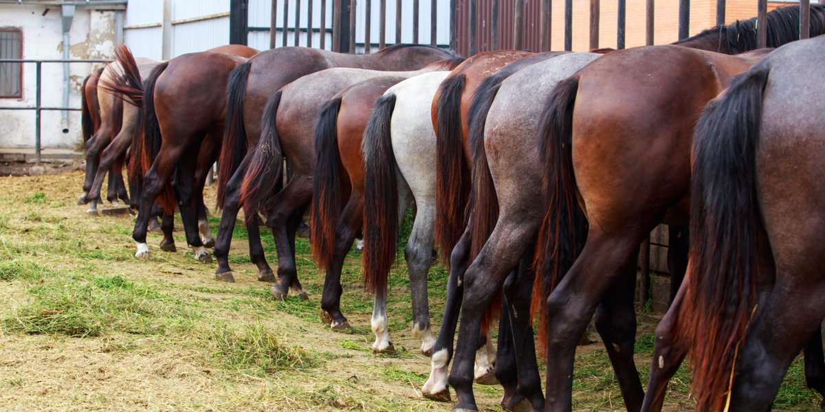 Joe Contrera tweet media