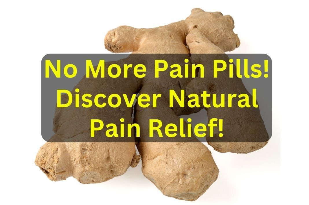 Fibro Bloggers tweet media