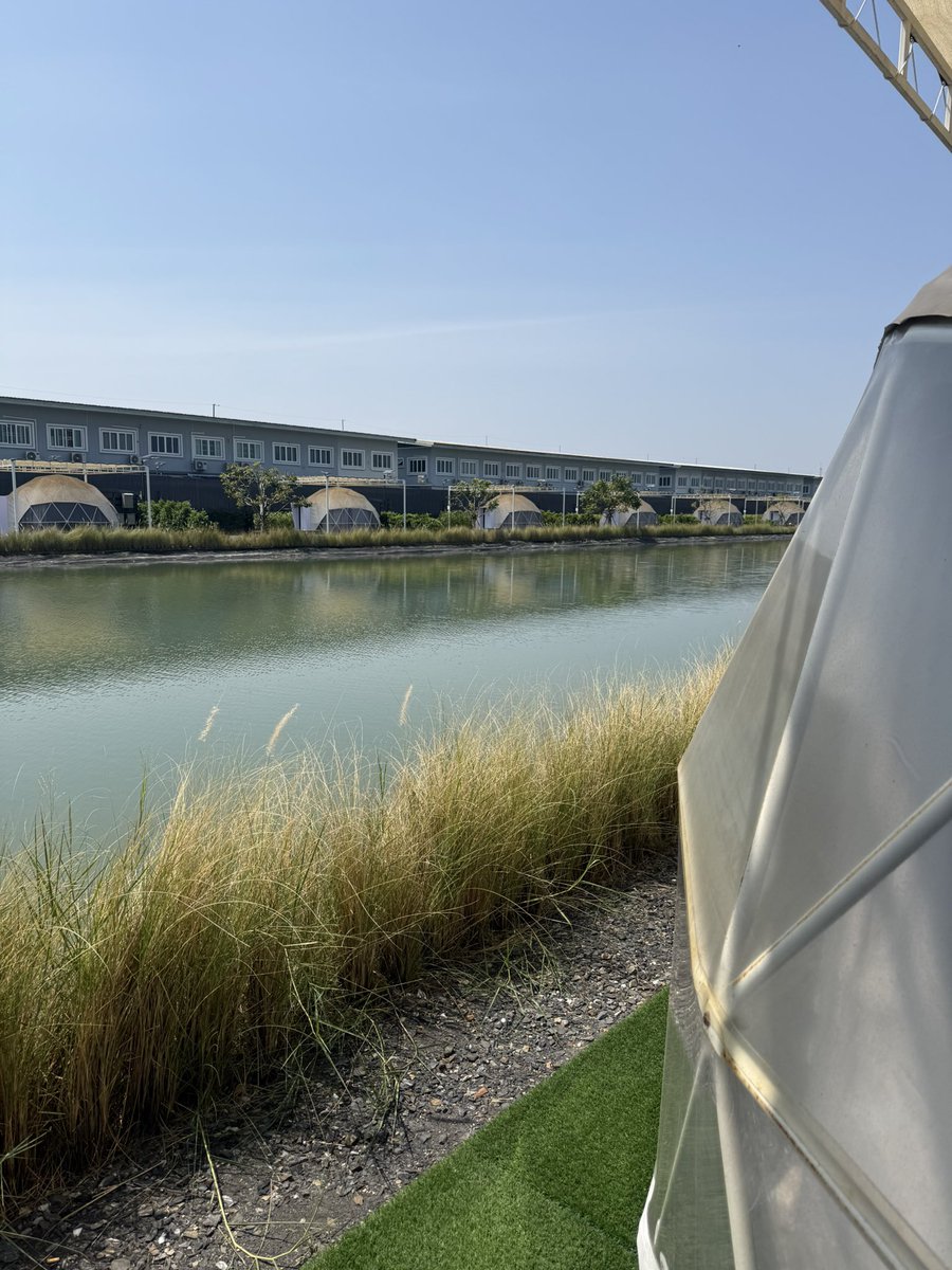 Tiger_69 tweet media