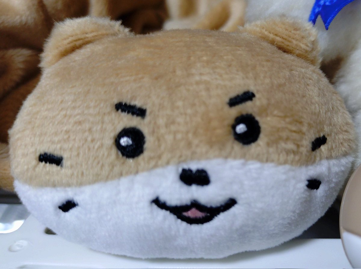 りりりり tweet media