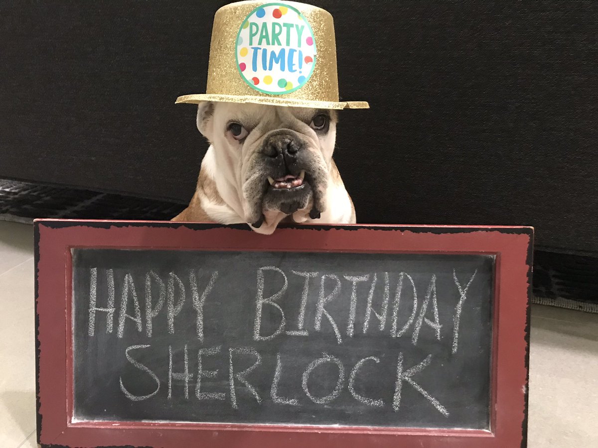 Lil_Fen's tweet photo. Happy Birthday Sherlock @Barry111971 
10 is AWESOME!
🥳🥳🥳🥳🎂🎂🎂🎂🎁🎁🎁🎁 https://t.co/Vh5NHhknAR