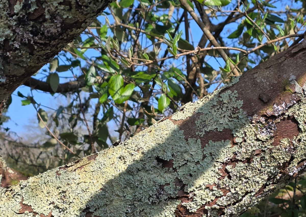 AHaglington's tweet image. Sorry to inform everyone, have hit a sticky patch, which is going to delay things.  
🙄
Seems to be the way of things these days. 
#Hassle
