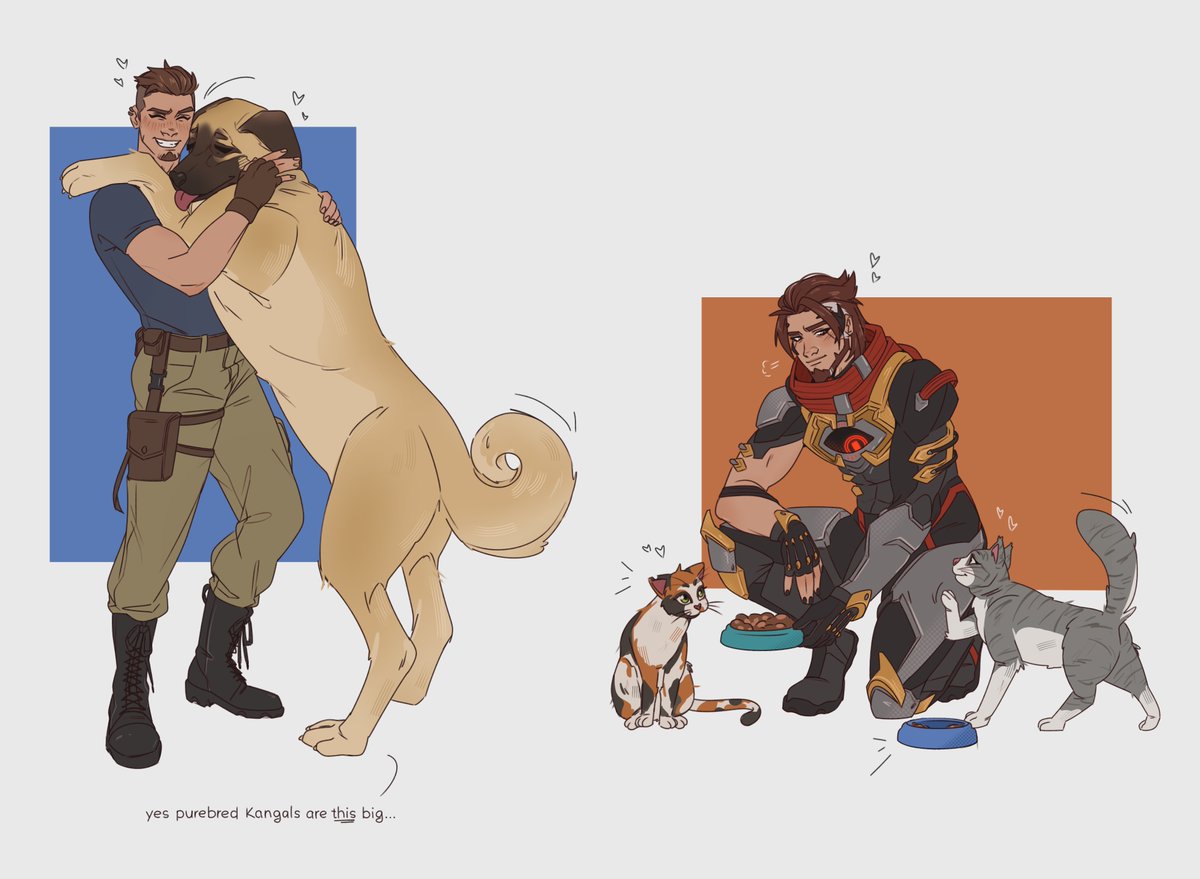 sam ✿ dispatch & OW & dL hype tweet media