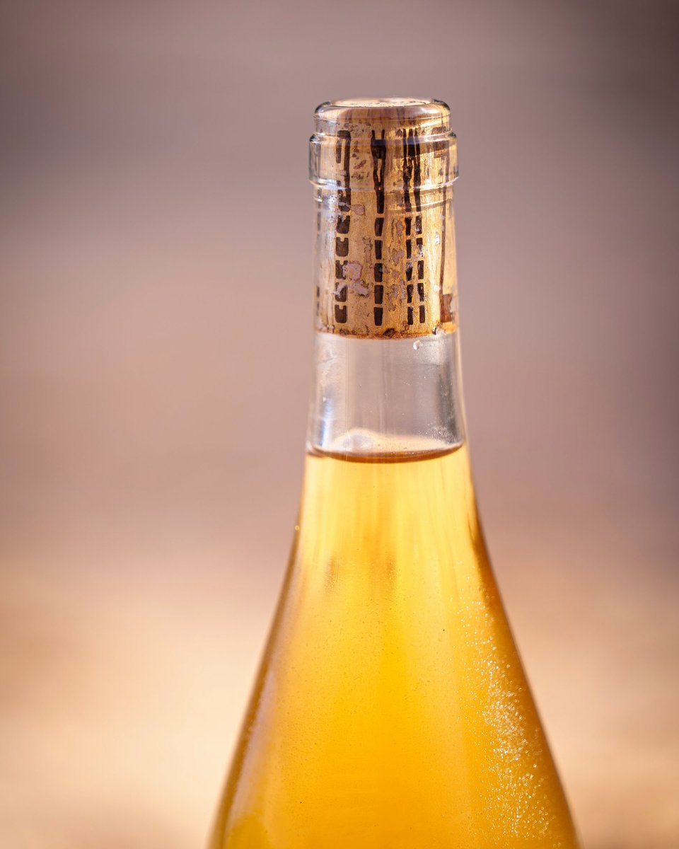 TOC AL MAR tweet media