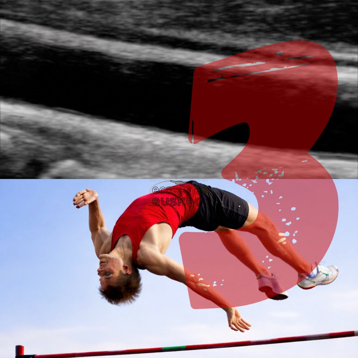 EcoSemes Euskadi tweet media