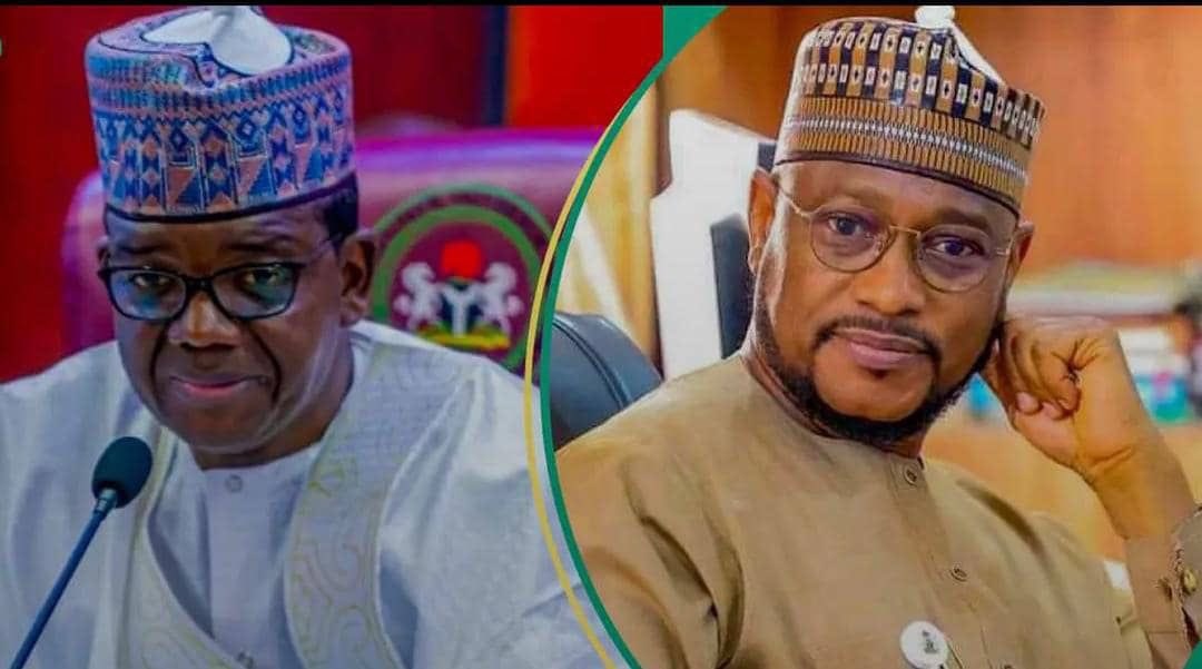 Flower🌺 tweet media