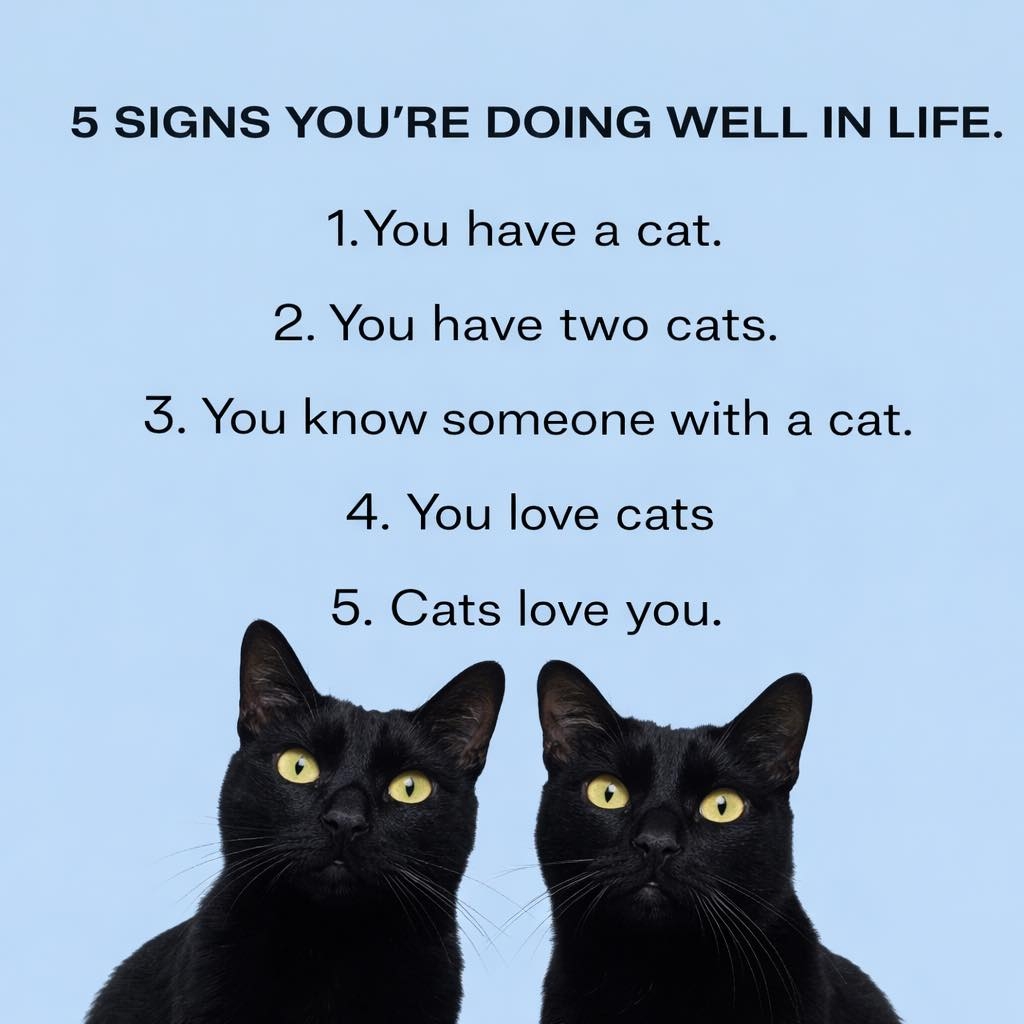 5 SIGNS YOU'RE DOING WELL IN LIFE.
