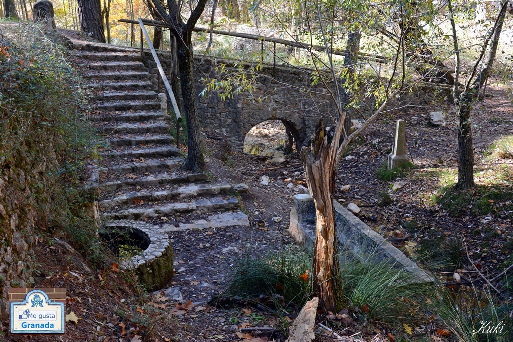 Fuente de la Teja. Nacimiento del río Darro en el Parque Natural de la Sierra de Huetor #megustagranada