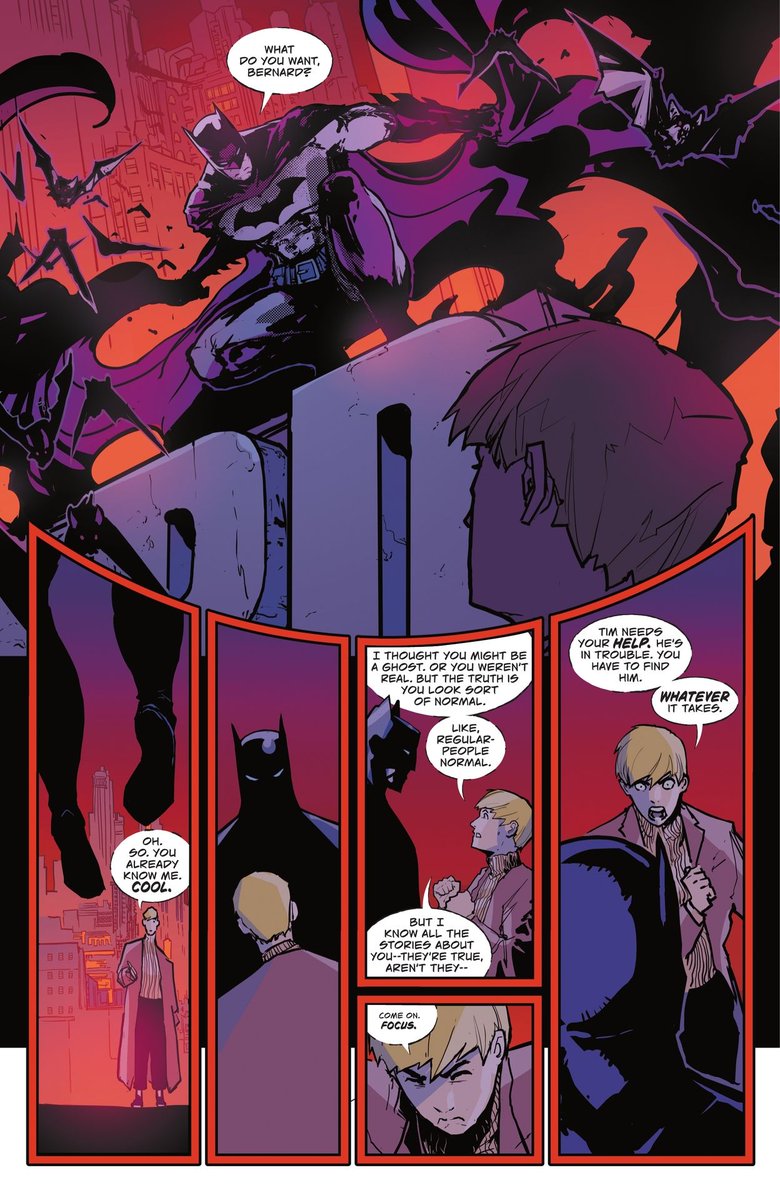 daily timbernard tweet media