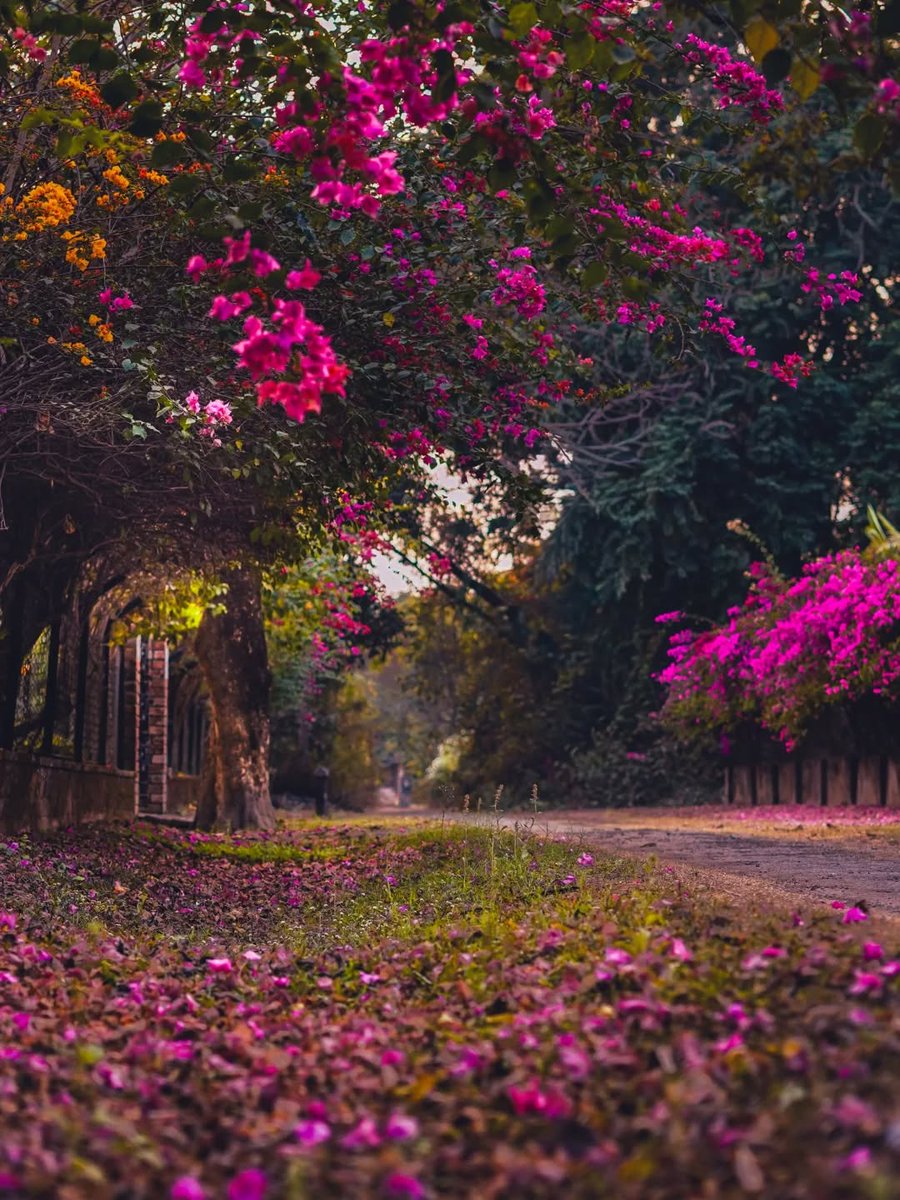যাদের মিথ্যেটাকেও আমরা সম্মান দিয়ে চুপ করে মেনে নিই, তারা ভাবে আমাদের বোকা বানিয়ে দিয়েছে। 
অথচ ~
কিছু সম্পর্ক আছে বলেই চুপ করে থাকে, আর কিছু চুপ করে থাকে বলে সম্পর্কটা টিকে থাকে।