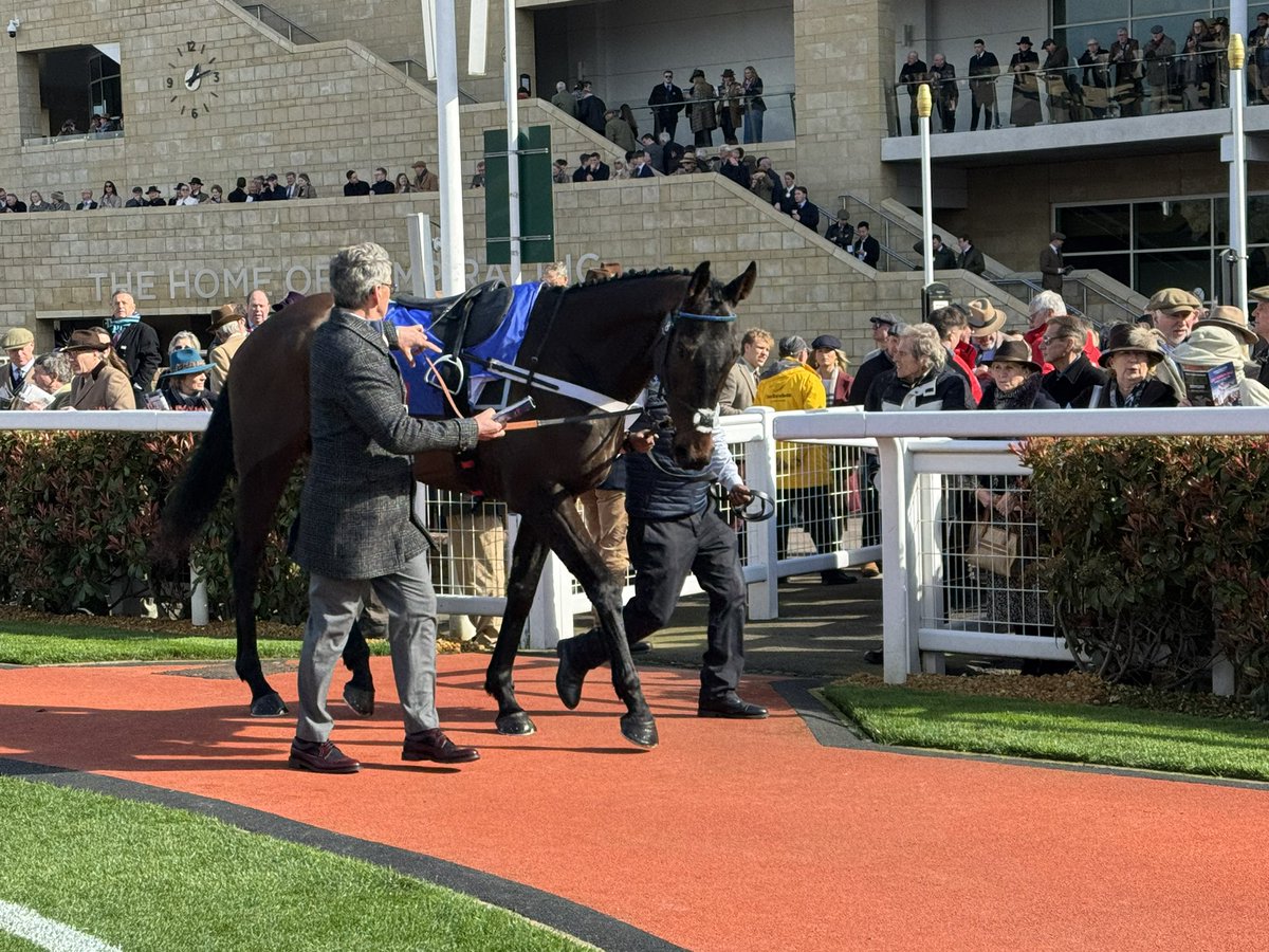 Jonathan Doidge tweet media