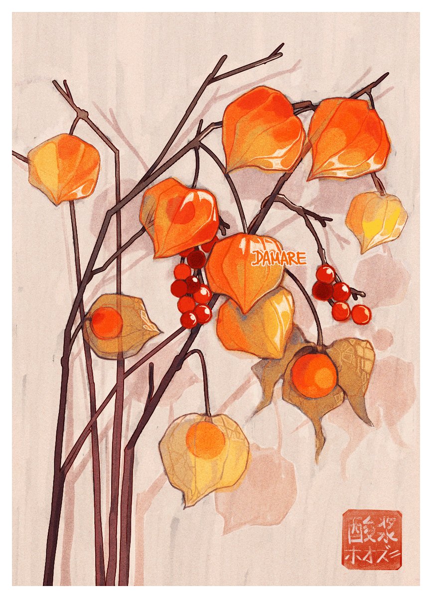 Damare ✧ @AniMUC tweet media