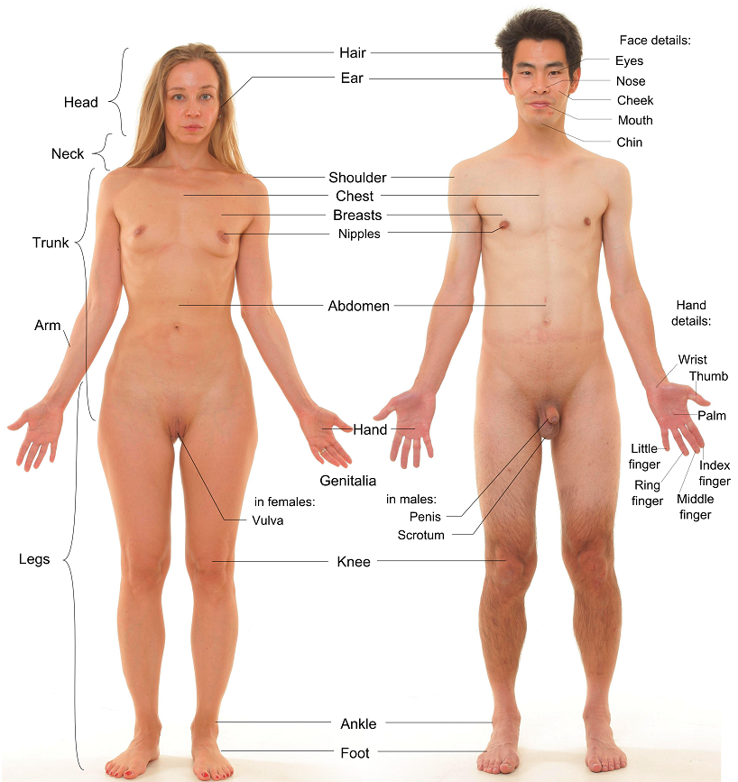yaokehui's tweet photo. tell me why this image is a bisexual's paradise https://t.co/zs1NpEIEU4