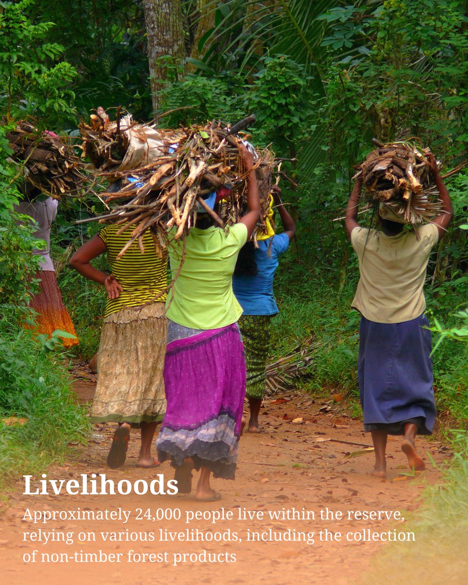 UNESCO South Asia 🏛 #Education #Sciences #Culture tweet media