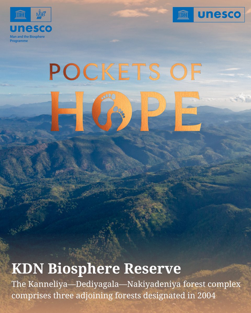 UNESCO South Asia 🏛 #Education #Sciences #Culture tweet media