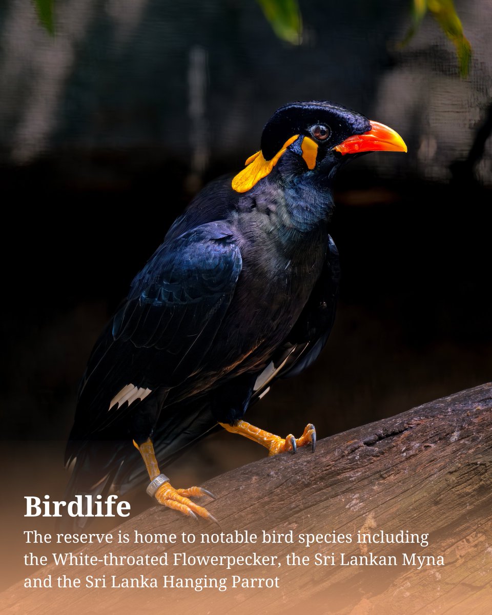 UNESCO South Asia 🏛 #Education #Sciences #Culture tweet media