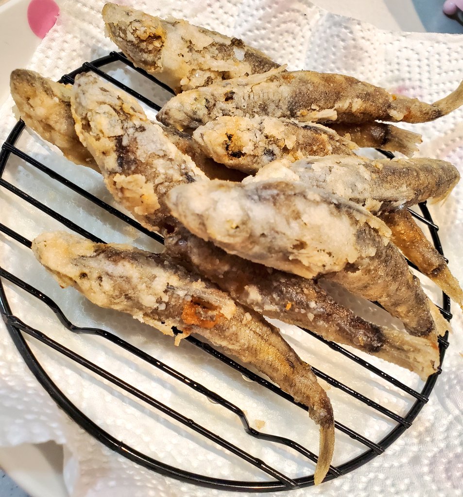 あんちゅんのやいば tweet media