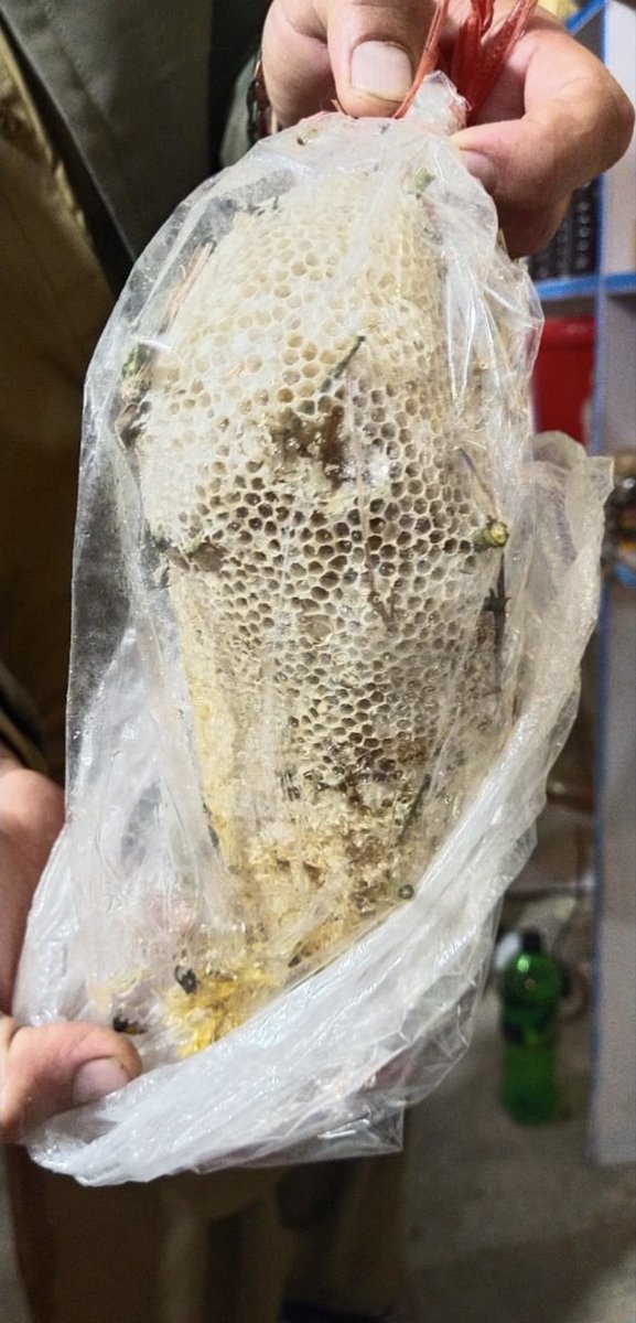 Forest Destinations tweet media