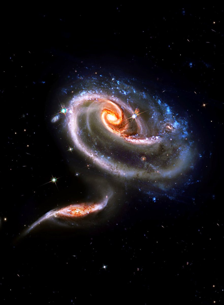 Night Sky Today tweet media