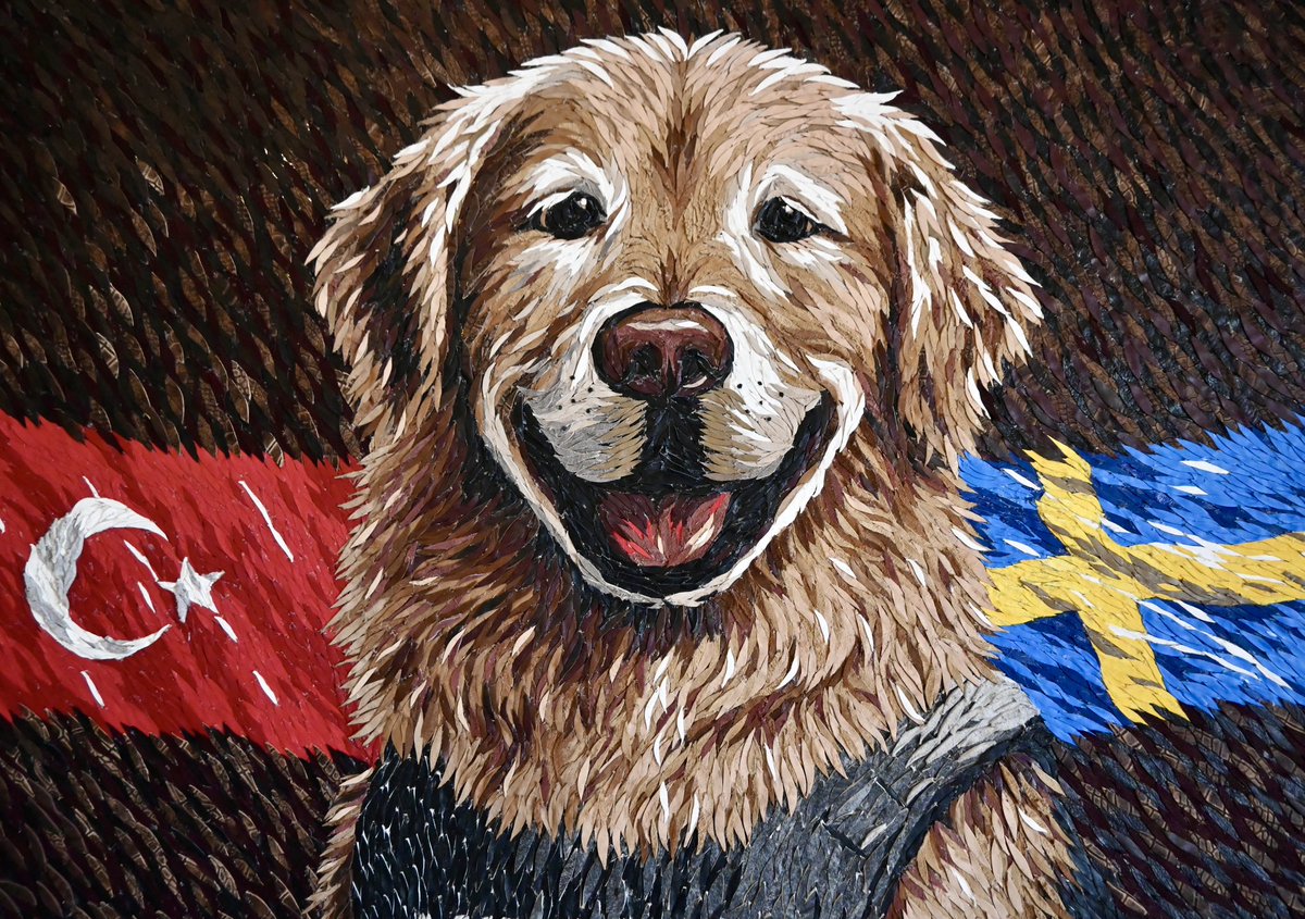 Consulate General of Sweden in Istanbul tweet media