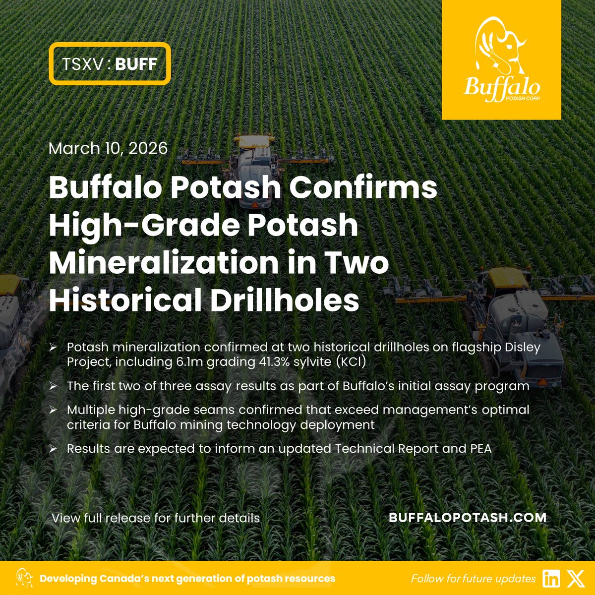 Buffalo Potash Corp (TSXV: BUFF) tweet media