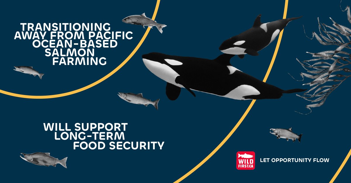 Wild First tweet media