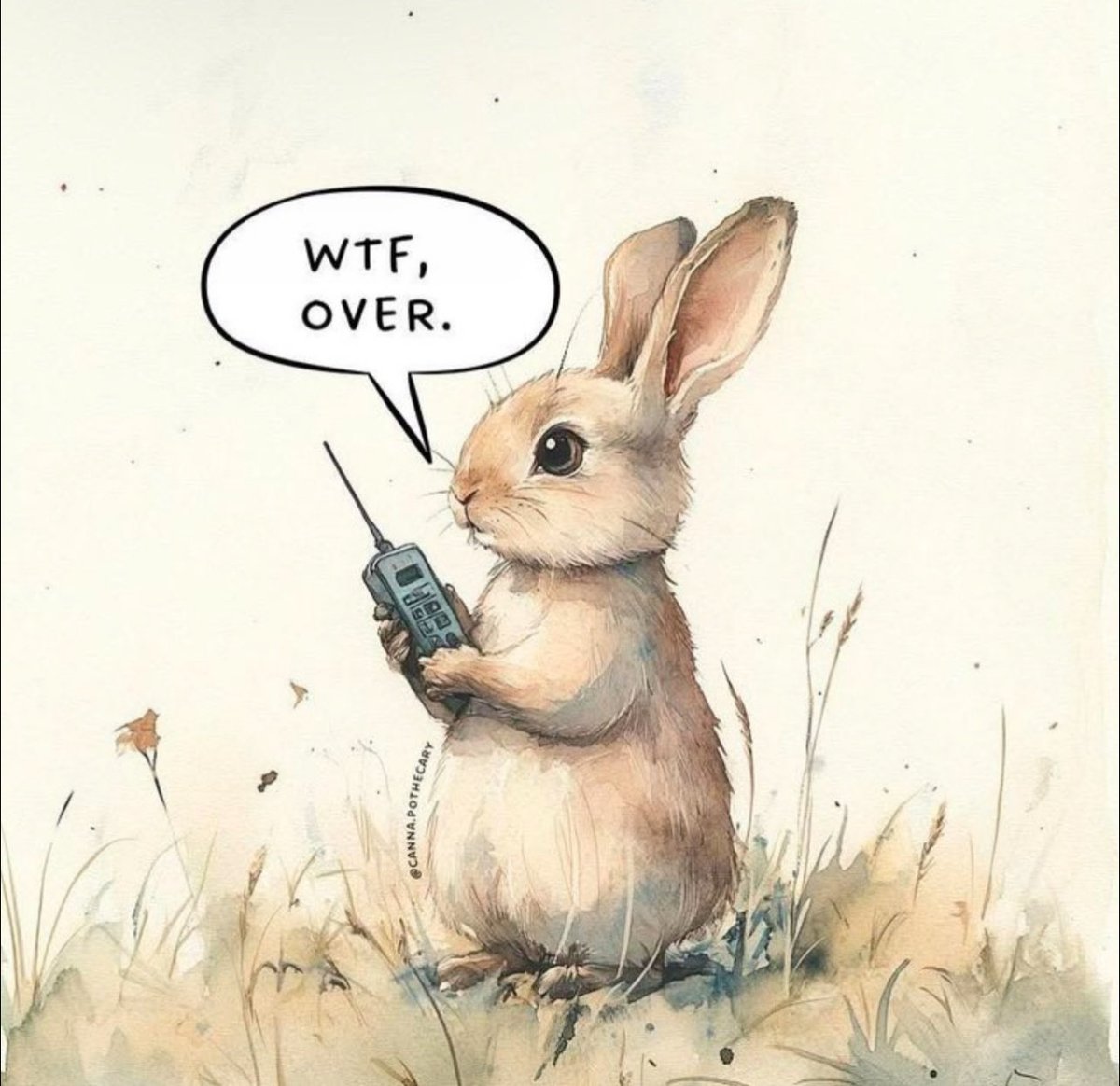 Sasha Sinclair🎨 tweet media